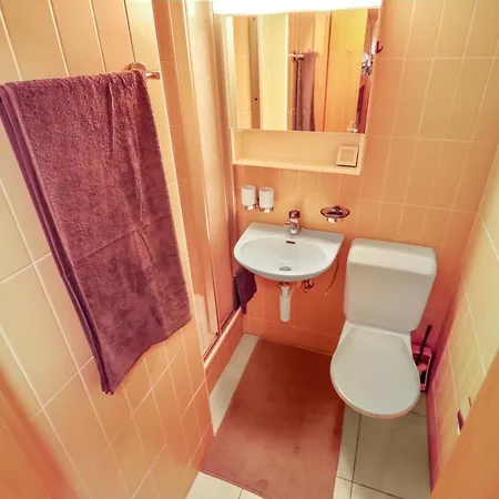 Apartament Superbe Avec Parking Couvert Gratuit Crans-Montana